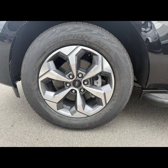 2027 Ford Expedition Active thumbnail 18