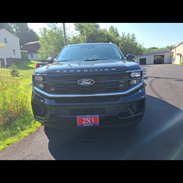 2027 Ford Expedition Platinum thumbnail 8