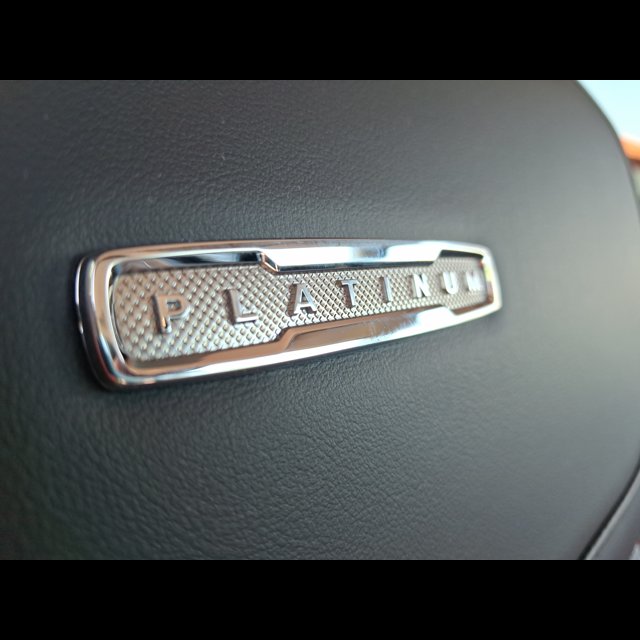 2027 Ford Expedition Platinum thumbnail 20