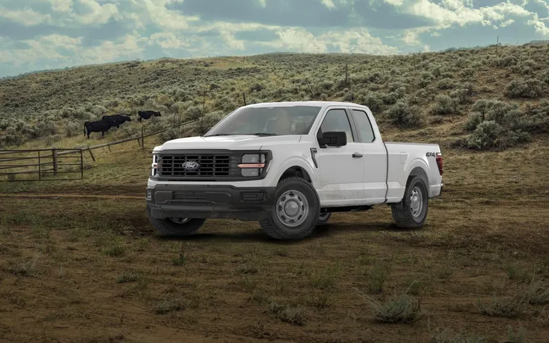 Ford F-150 XL SuperCab 4x4 in white on a ranch track beside a cattle pasture