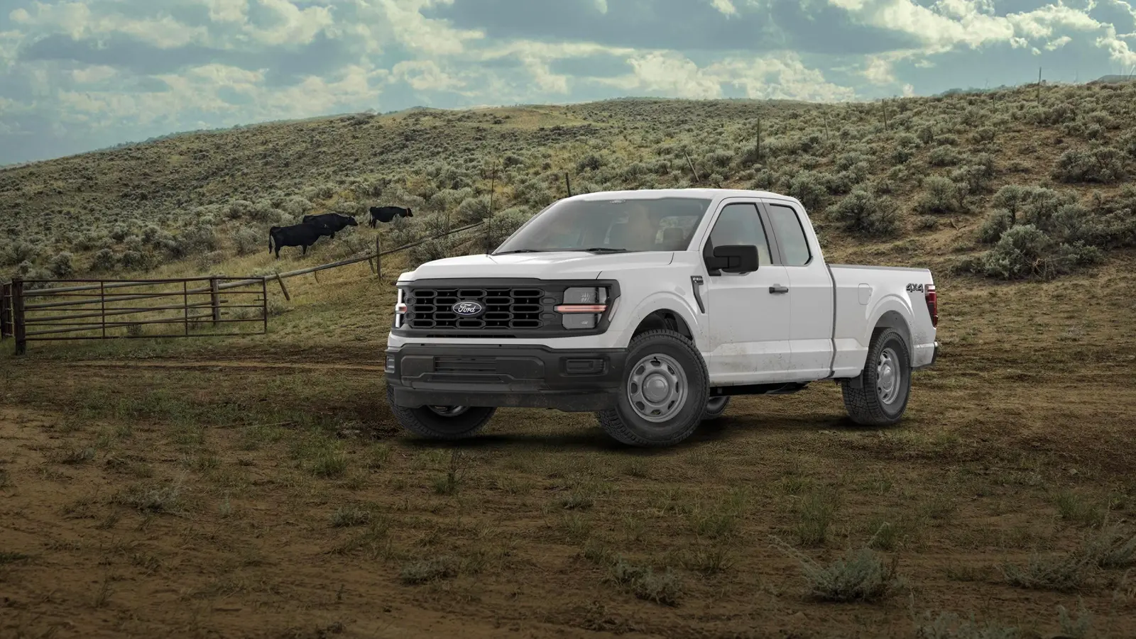 Ford F-150 XL SuperCab 4x4 in white on a ranch track beside a cattle pasture