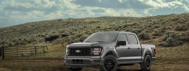 Ford F-150 STX SuperCrew 4x4 in gray with black wheels on a ranch track beside a cattle pasture