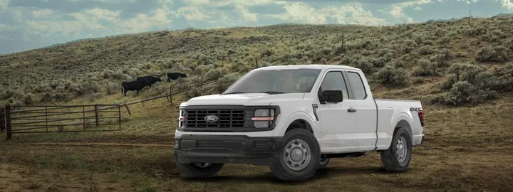 Ford F-150 XL SuperCab 4x4 in white on a ranch track beside a cattle pasture